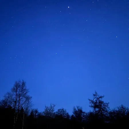 Bluebelle - Crossgate Luxury Glamping פנרית'